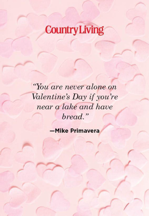Humor Valentine Quotes For Her
