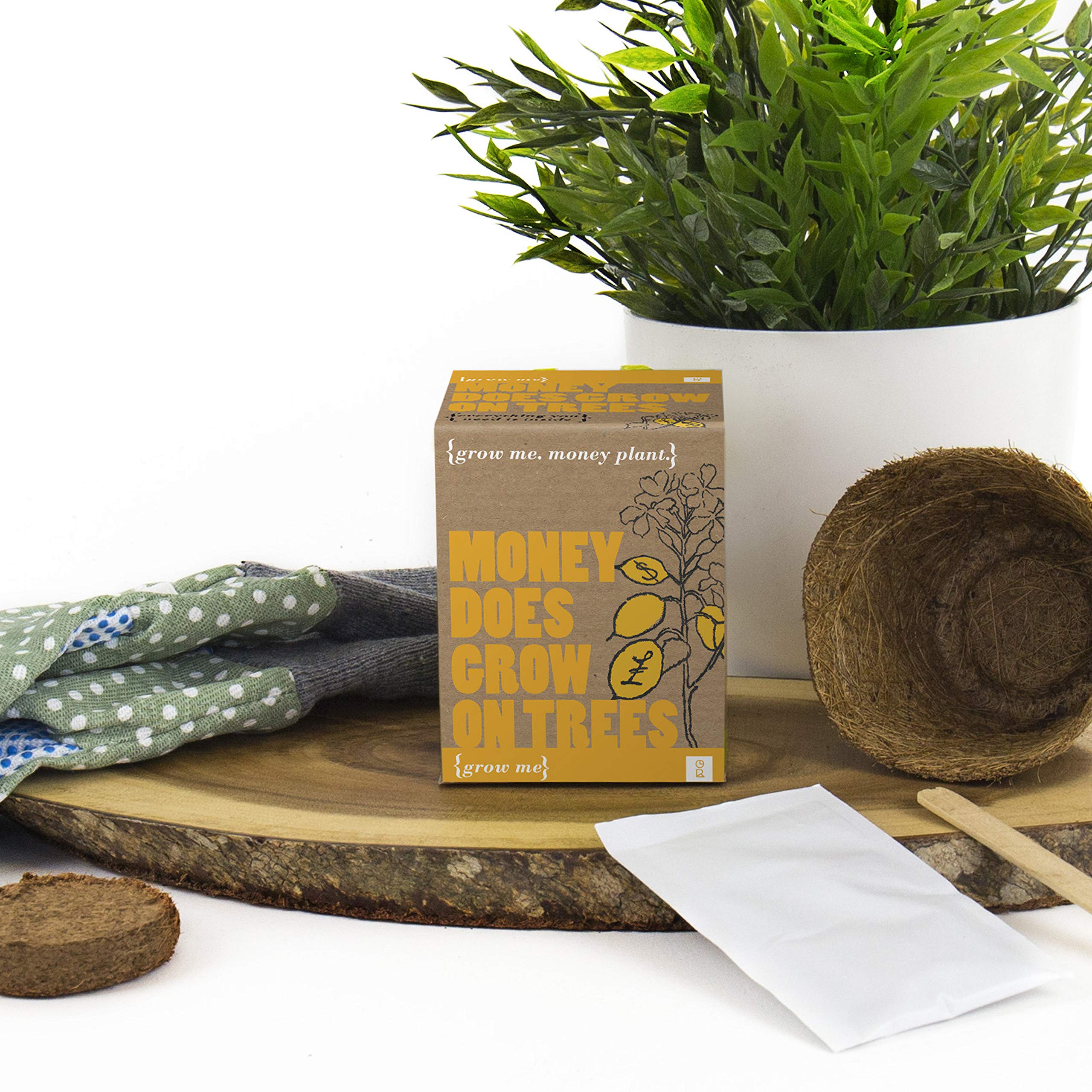 Money-Related Puns and Jokes As Funny Money Gift Ideas 