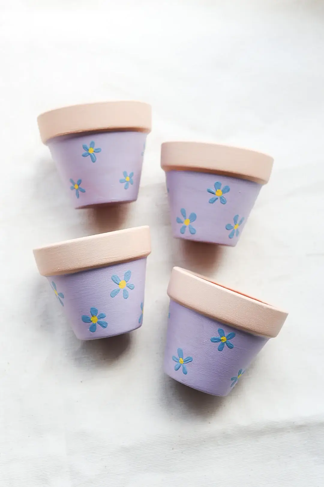 Hand-Painted Plant Pot gifts