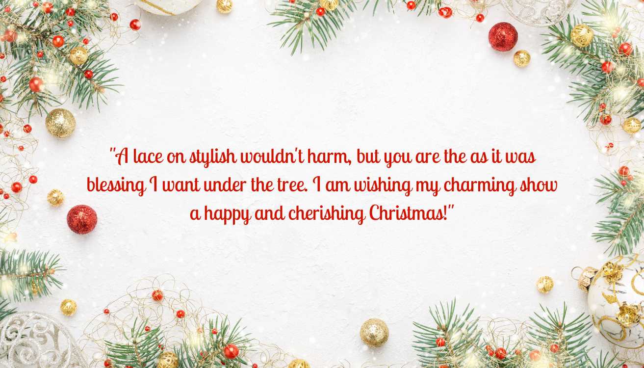 Funny Christmas Card Messages for Boyfriend